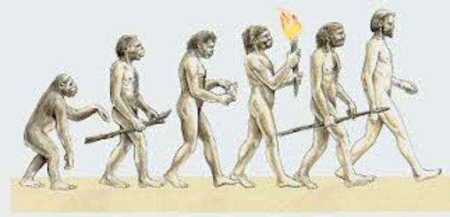 *EVOLUCIÓN DE LA ESPECIE HUMANA