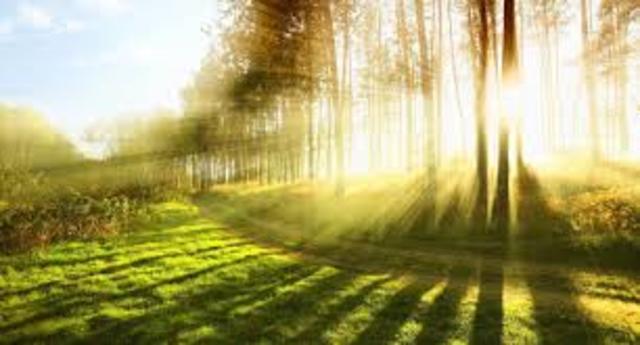 MEDIO AMBIENTE Y TECNOLOGIAS