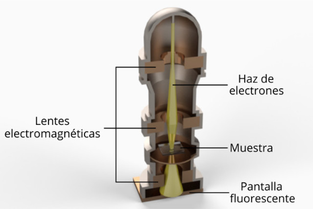 Microscopio electrónico