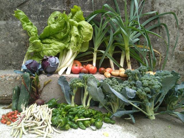 ENTREGA NO COMEDOR SOCIAL SAN FRANCISCO