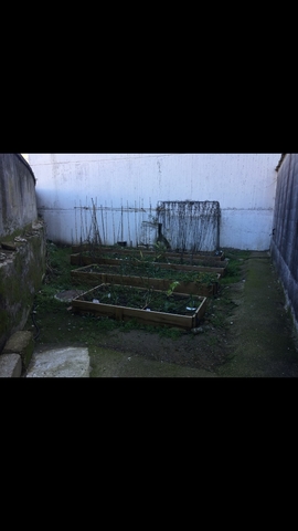 ESTADO ACTUAL DO HORTO