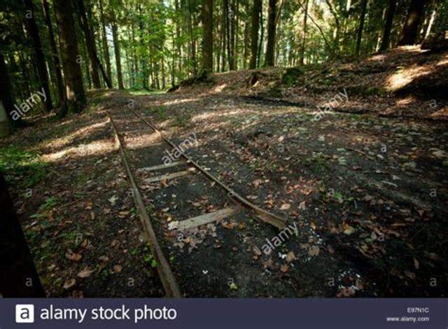 Battle of Argonne Forest