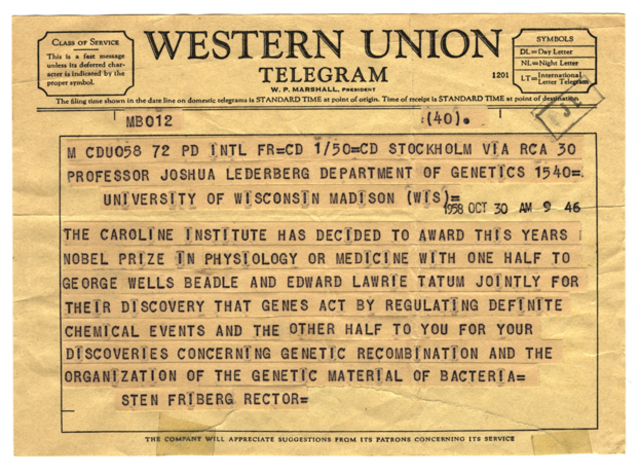 Zimmerman Telegram