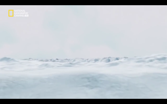 Tierra bola de nieve y Exploción cambrica