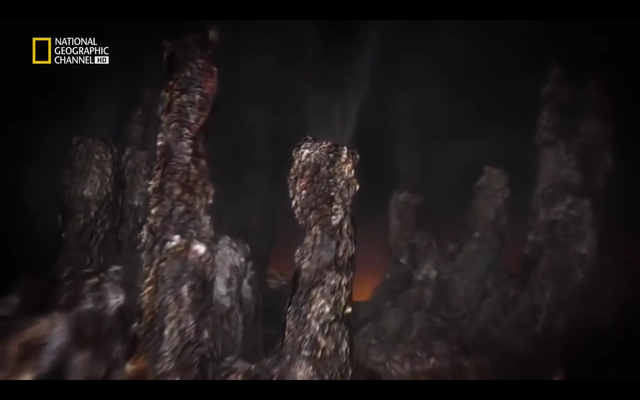 Primeras formas de vida