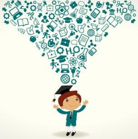 Apertura de 2 nuevos programas.