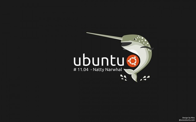 Ubuntu 11.04