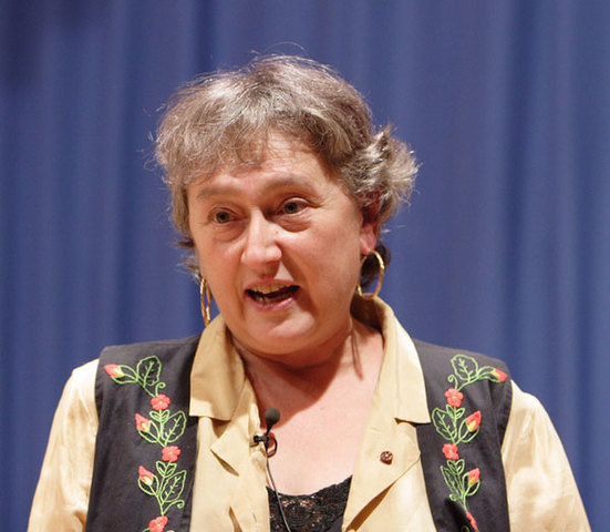 ¿reino protoctista o reino fungi?