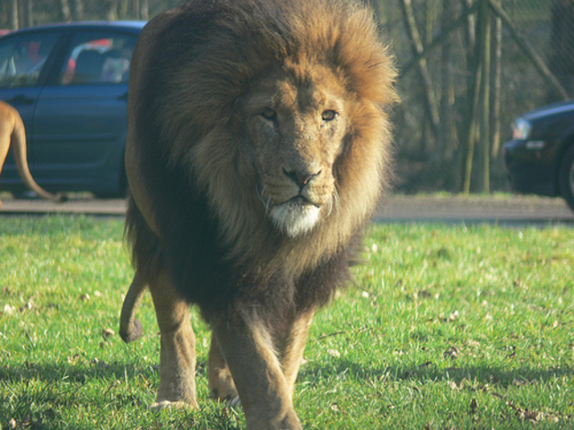 Longleat
