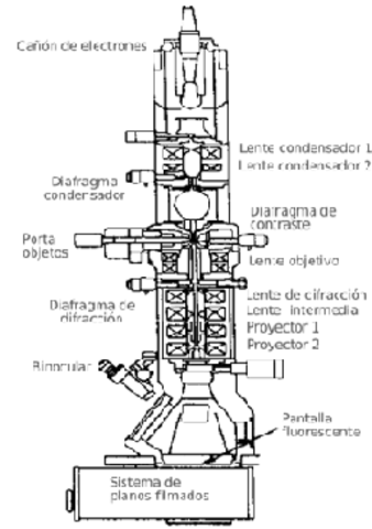 Microscopio Electronico