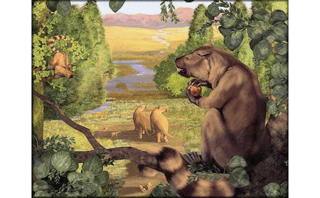 Tertiary Period 65- 1.8 MYA