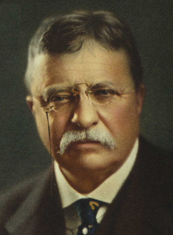 Theodore Roosevelt (Progressive)