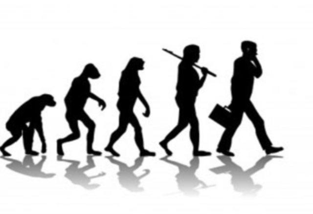 EVOLUCIÓN