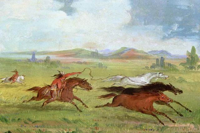 Introduction of Horses