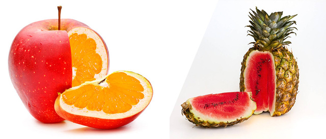 Vegetales transgenicos