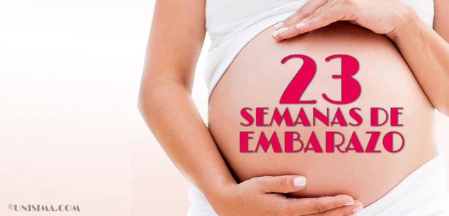 Semana 23