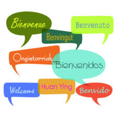 Plan de acogida a una empresa