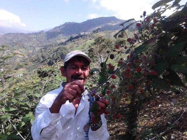 children and more children