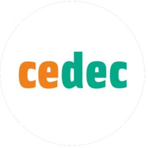 Creación del CEDEC