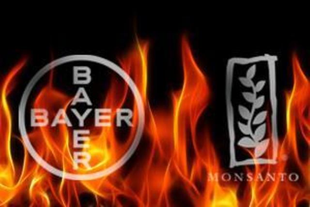 Devastación de guerra