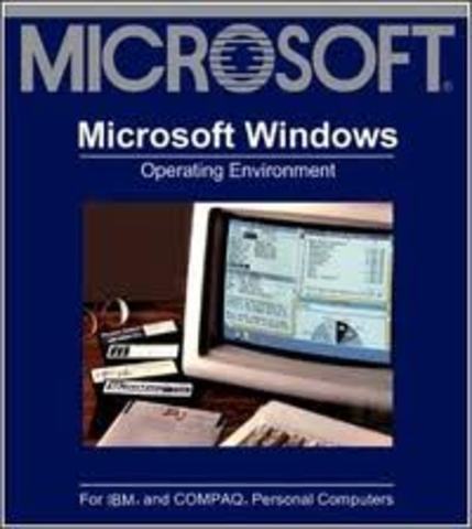 MICROSOFT WINDOWS