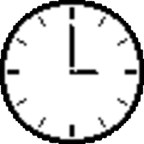 Discapacitados gobernantes