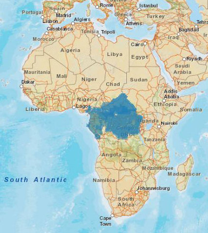 estado africano en la cuenca del congo