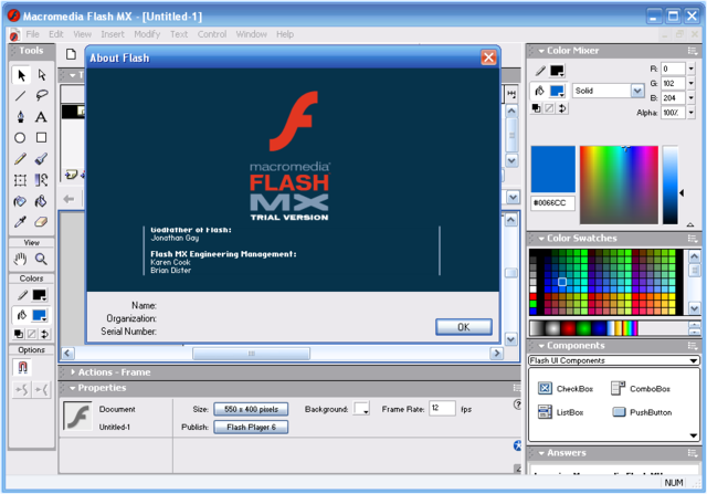 Adobe Flash Player 10