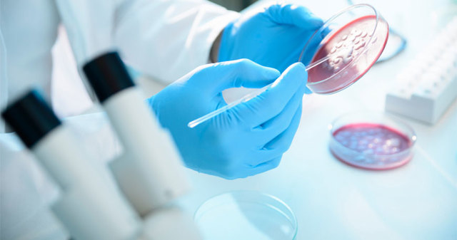 Neixement de la citologia com a ciència