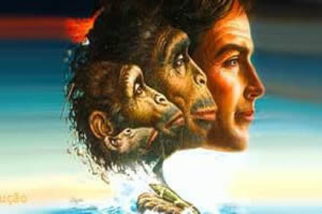 Evolucionismo Unilineal