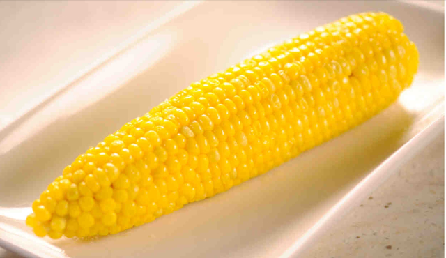 M.E Early America Today