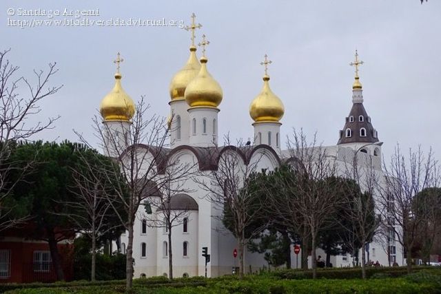 catedral  ortodoxa rusa  Santa María Magdalena