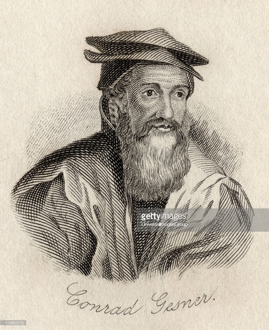 Doctor Conrad Gesner