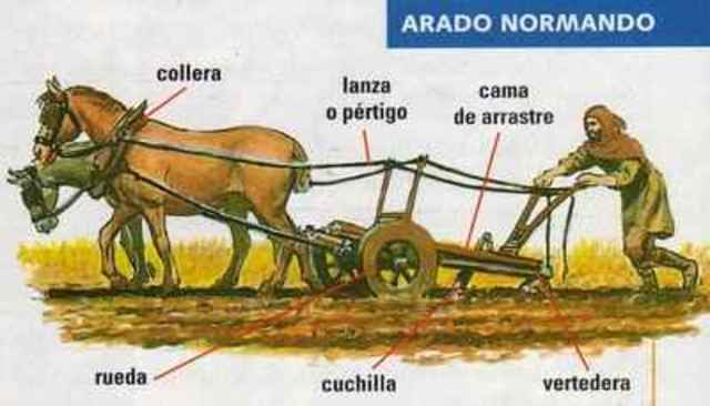 Arado