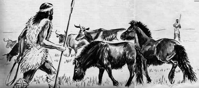 Domesticación del caballo