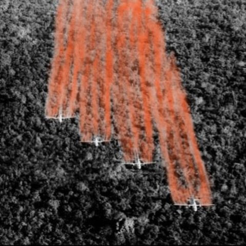 Operation Ranch Hand