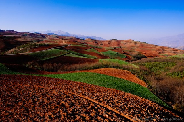 Ming Anti-Commercialism