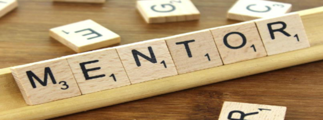 Comienzo del Proyecto Mentor