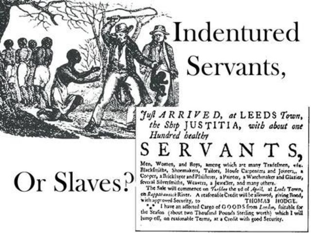 Indentured Servitude
