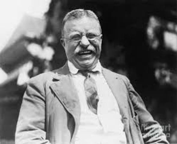 Teddy Roosevelt