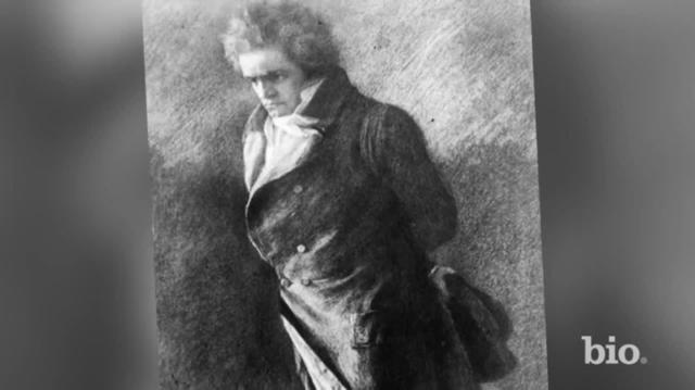 1790 First contact with Haydn.