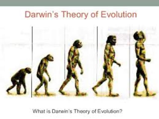 The Theory of Evolution 8