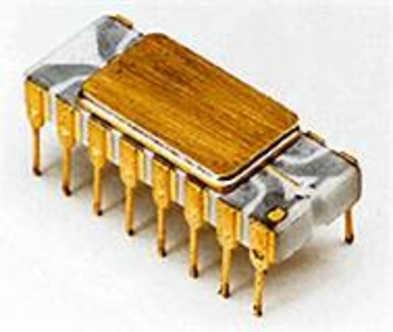 Microchip