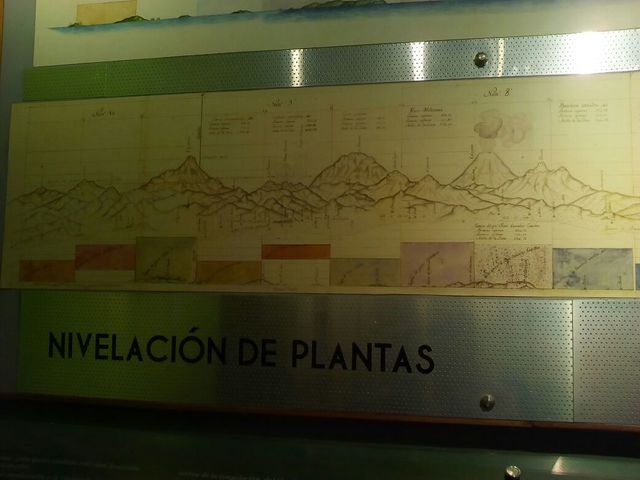 Nivelación de plantas