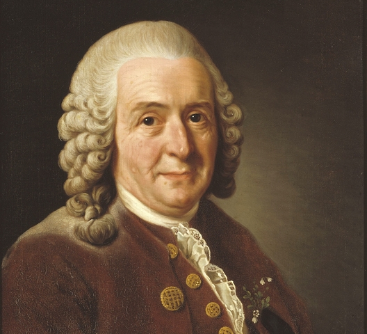 Carlo Linneo (1707-1778) - il creazionismo