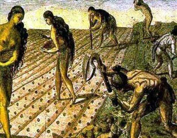 REVOLUCIÓN DEL CULTIVO