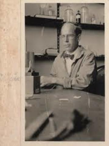 Creación de laboratorios antropométricos