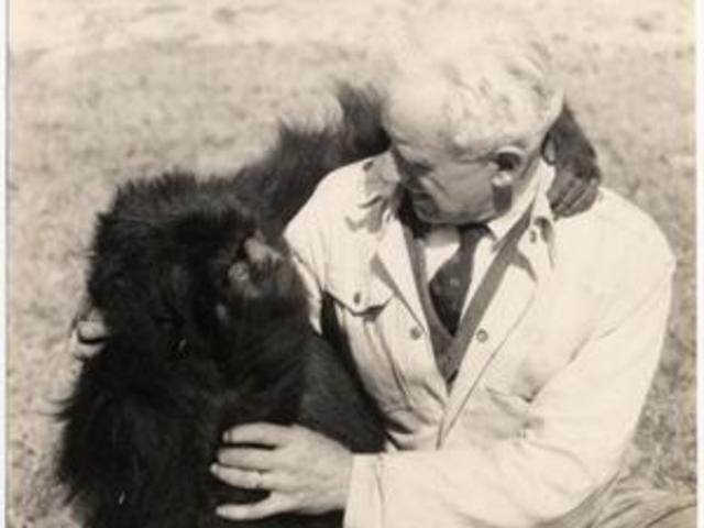 Test ARMY, ALPHA Y BETA.