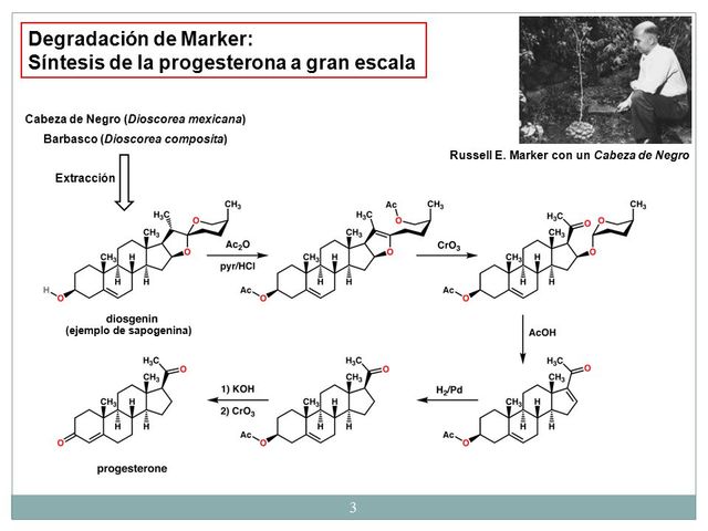 Sintesis de la progesterona gracias a Russel MaRker