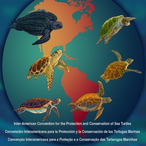 Convención Interamericana para la Protección y Conservación de las Tortugas Marinas